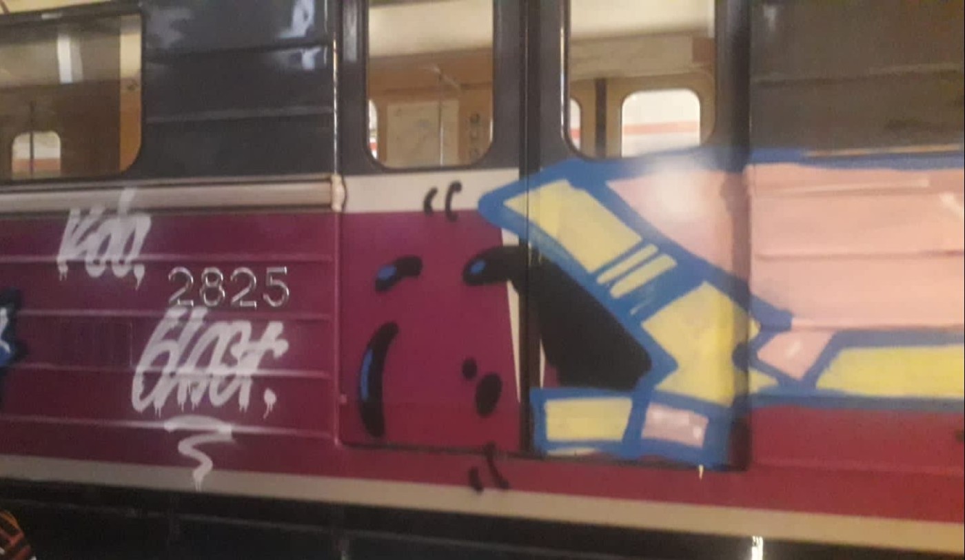 Bakı metrosunda depoya girib qatarlara ziyan vuran Fransa vətəndaşı həbs edildi